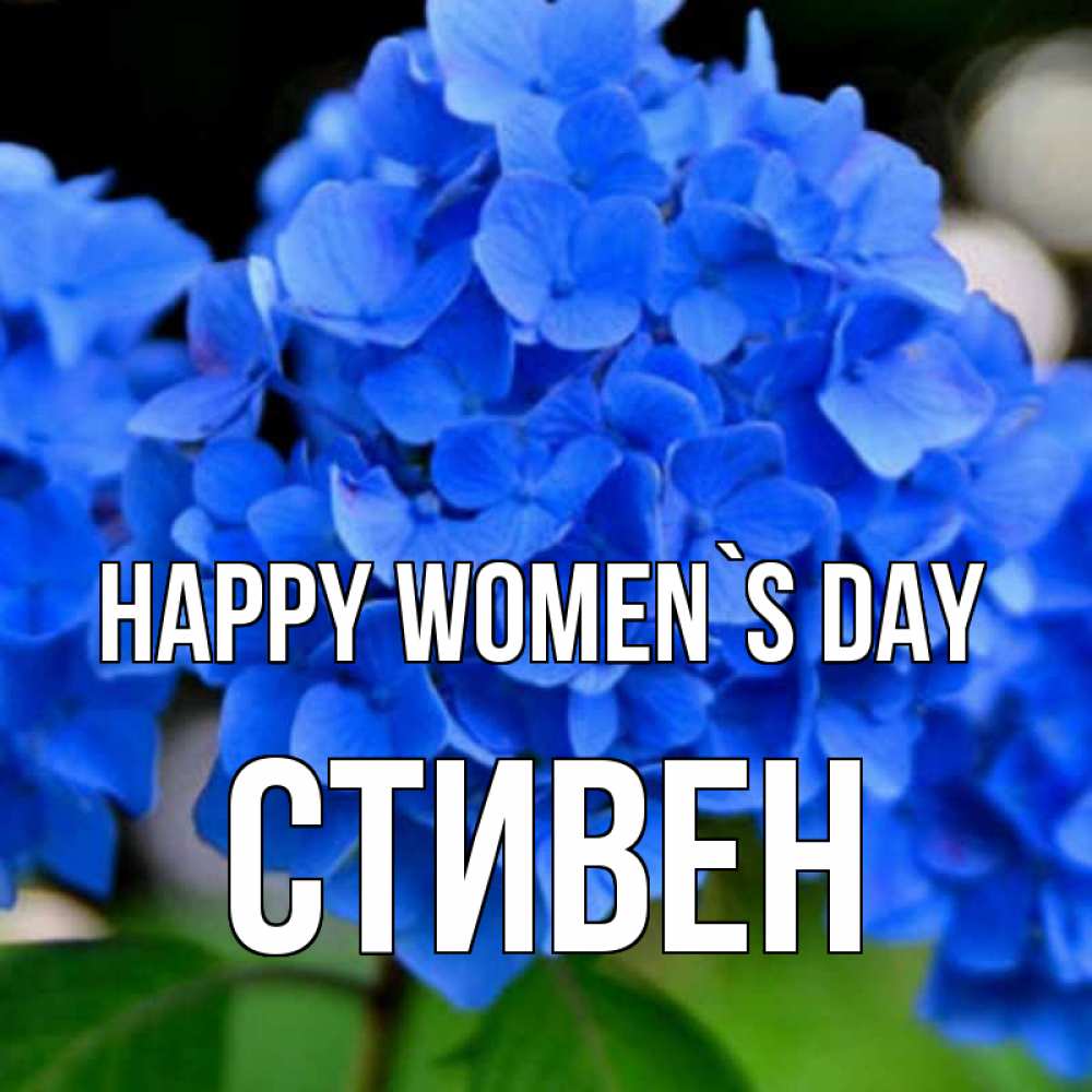 Greetings card с именем, Стивен happy women`s day синие цветы Greetings with text for free download 